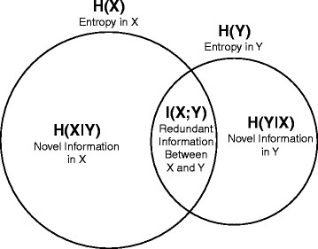 Information-Theoretic Foundations of Deep Learning